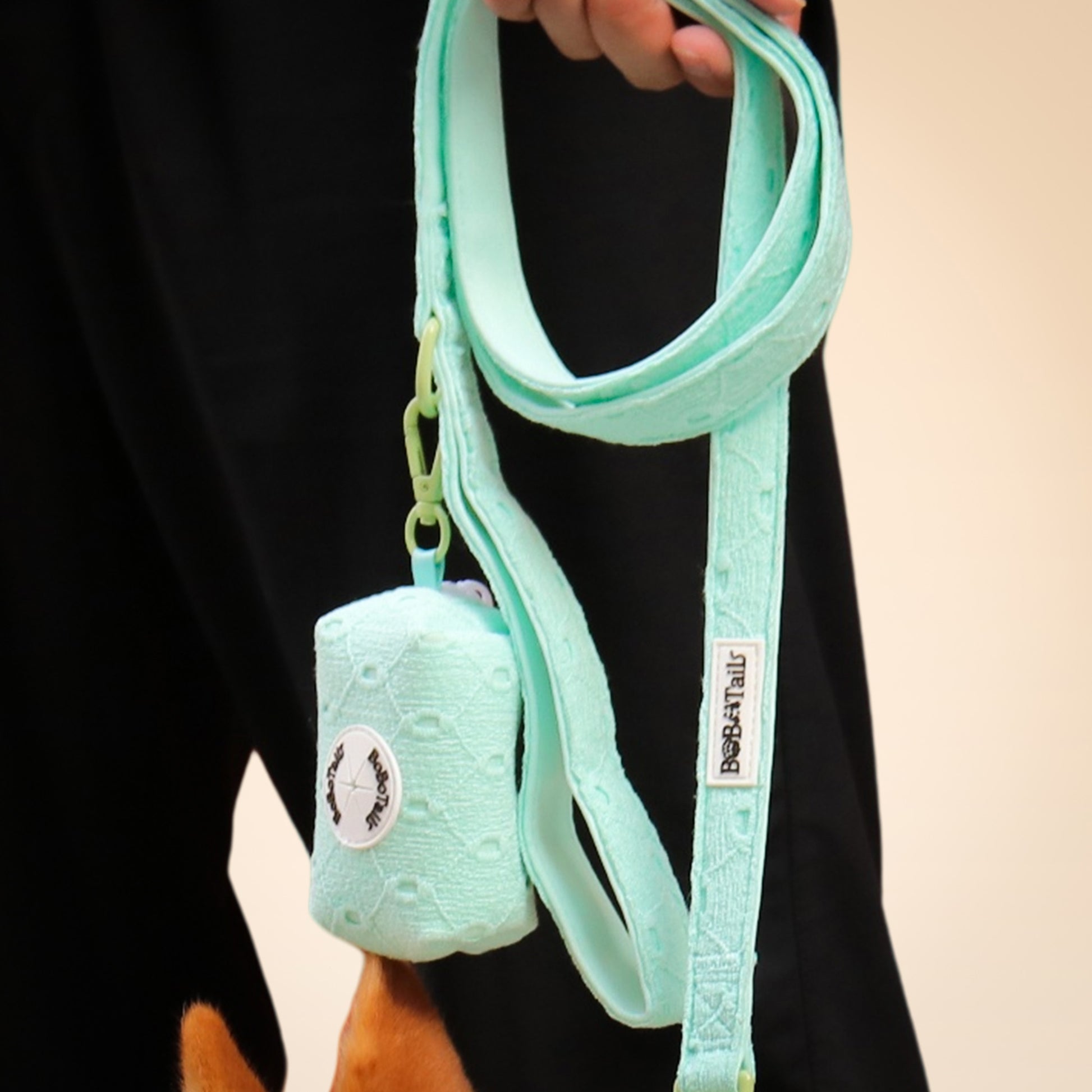 Broderie en soie tirant la laisse des chiens