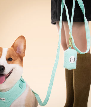 Broderie en soie tirant la laisse des chiens