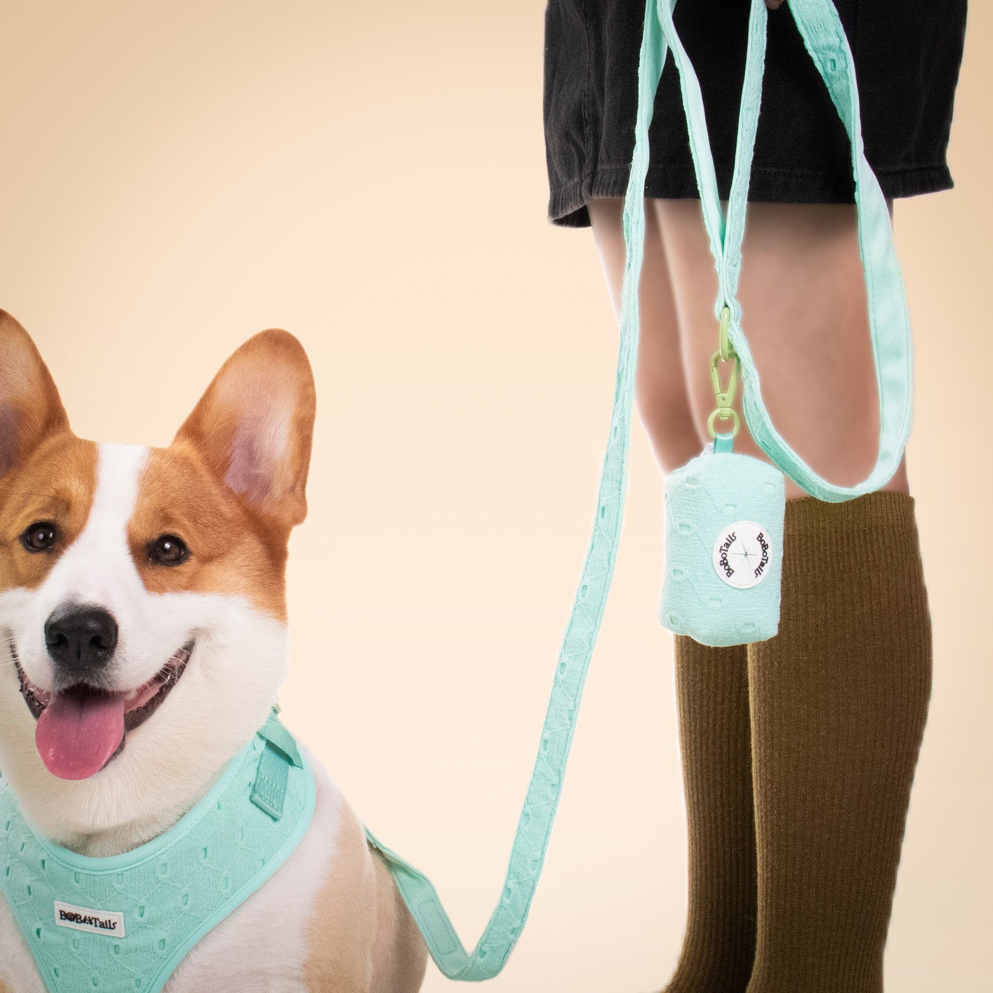 Broderie en soie tirant la laisse des chiens