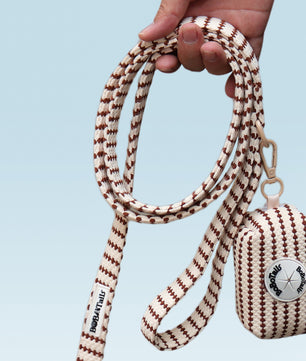 Ensemble harnais pour petits chiens, laisse et porte-sacs à crottes