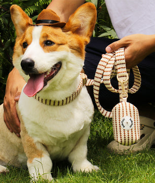 Bobotails small grain the best dog leash for small and medium dog