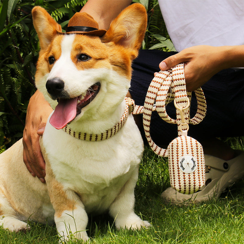 Bobotails small grain the best dog leash for small and medium dog