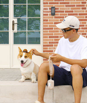 Bobotails small grain slip leash for dogs with collar