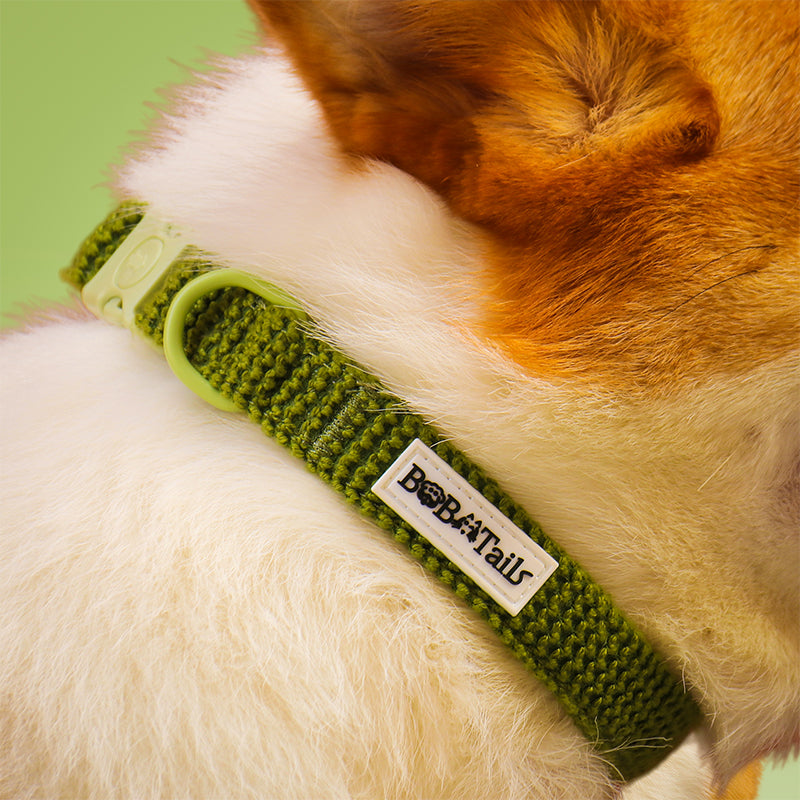 Cols de chien tactique de petit chien