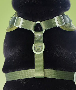 Harnais de chien de pull