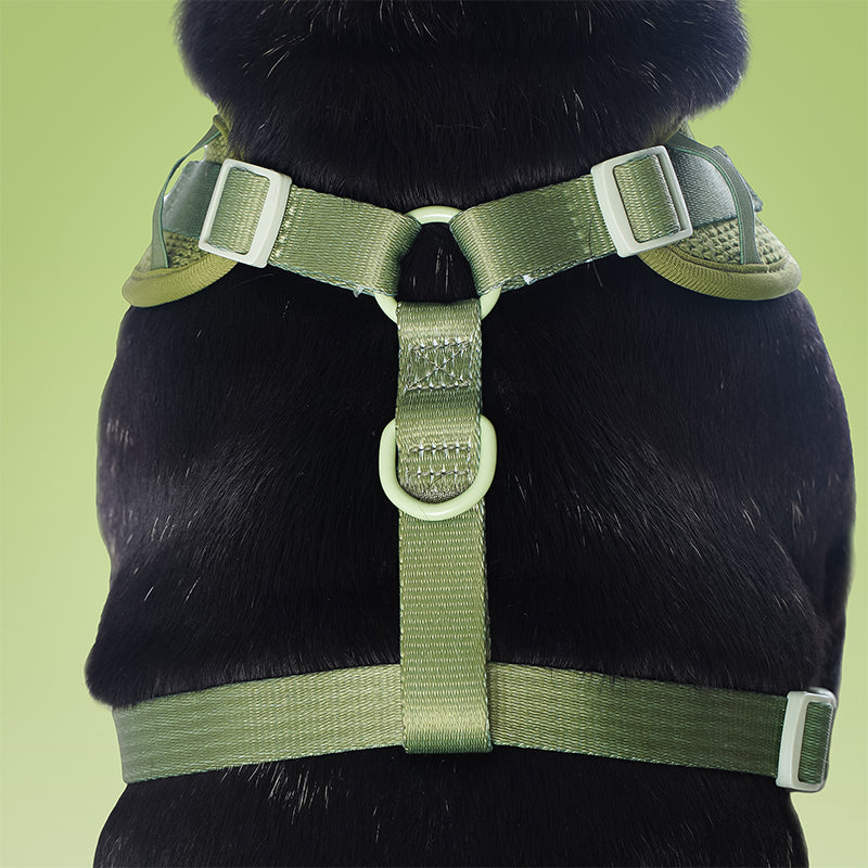 Harnais de chien de pull