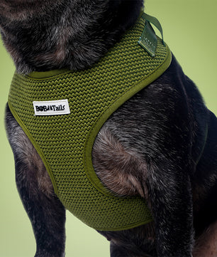 Harnais de chien de pull
