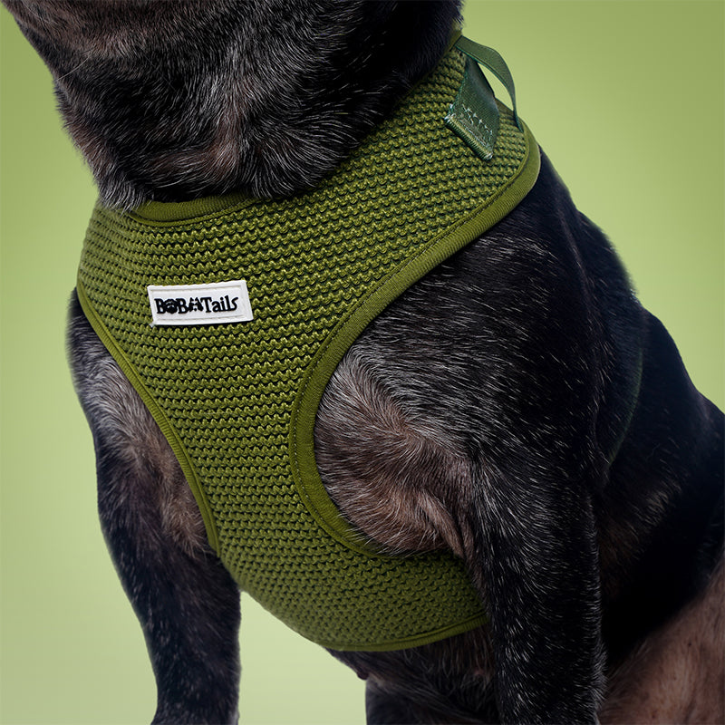 Harnais de chien de pull