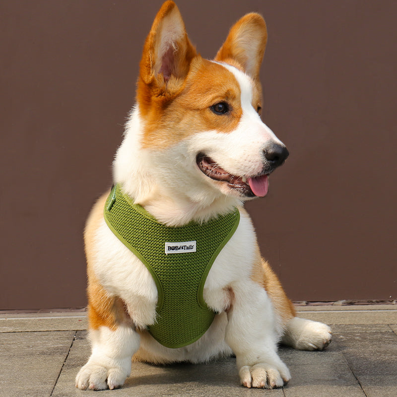 Sweater Knit 3-Piece Dog Harness Bundle