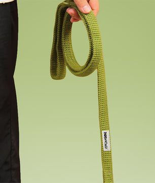 Lâche de chien de pull
