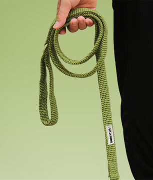 Lâche de chien de pull