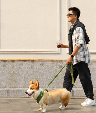 Sweater Knit 3-Piece Dog Harness Bundle