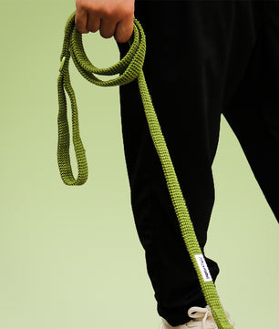 Lâche de chien de pull