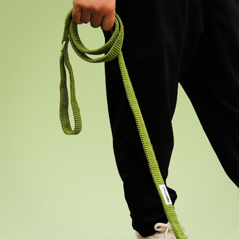 Lâche de chien de pull