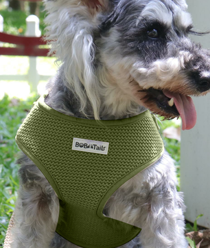 Puppy Harness, Adjustable Soft Padded Dog Vest, Airmesh Breatheable Pet Cotton material Vest with Easy Control for puppy training harness