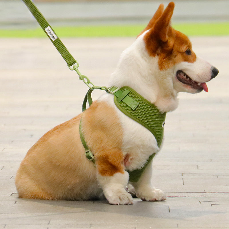 Sweater Knit 3-Piece Dog Harness Bundle