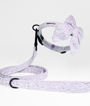 Bobotails Beauty of Lace Dog Leash,2/3/5 FT dog poop bag holder for leash with Comfortable Padded Handl Small and Medium Dogs