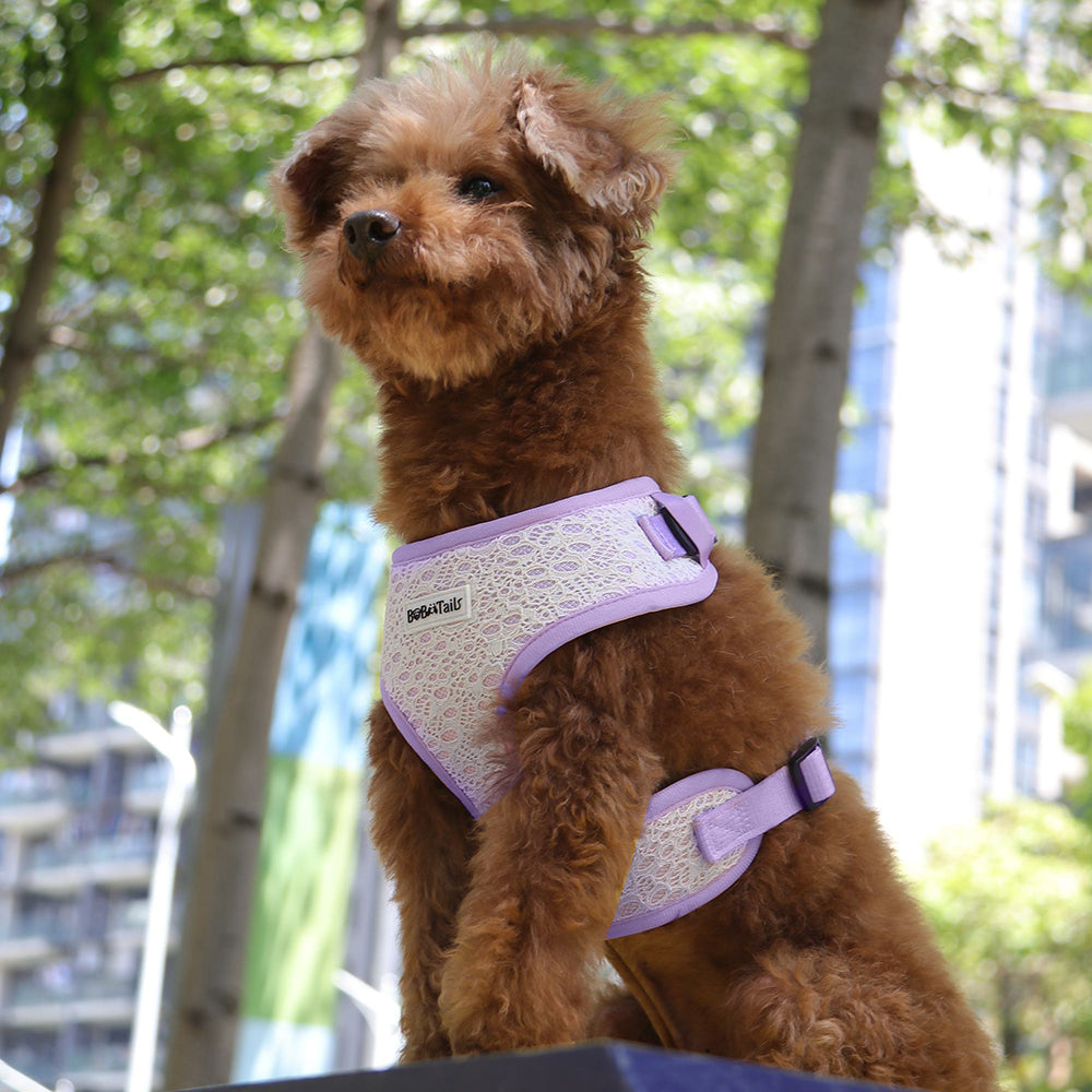 Bobotails Dog Harness, No-Pull Pet Harness with Leash Clips, Adjustable Soft Padded Dog Harness, Airmesh Breatheable Pet Cotton material Vest for hiking,travelling,outdoor activities,camping