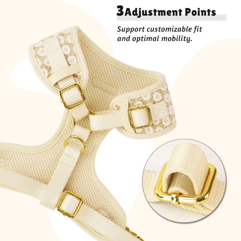 adjustable straps dog harness back view of floral brilliance showing fit and comfort within a coordinated dog and owner matching system