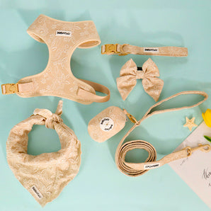 Ensemble harnais, laisse, collier et porte-sacs à déjections Morning Glory