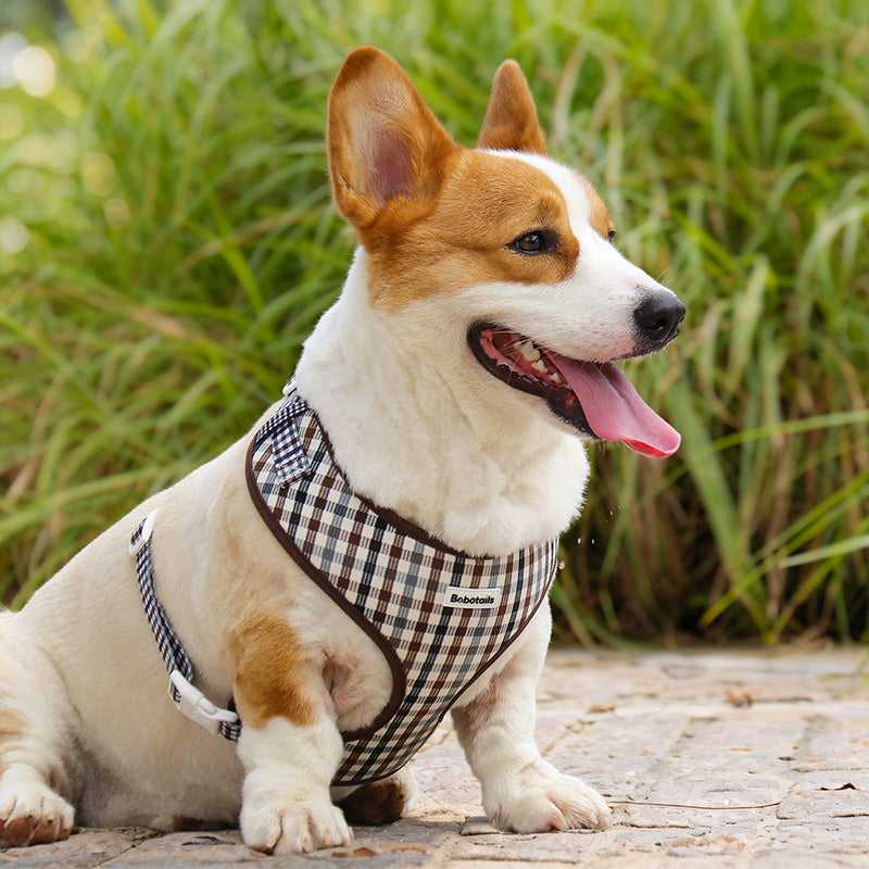 Corgi in plaid dog vest harness by Bobotails