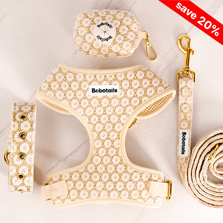 bobotails floral brilliance 4pieces matching bundle and save matching women's belt and dog harness ,dog leash and dog poop bag holder