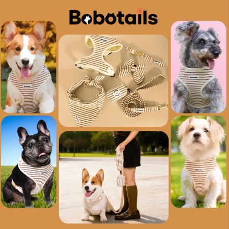A collage showing a pet harness and leash set in beige and white striped fabric, with several dogs wearing it and a person holding the leash outdoors. The brand name Bobotails appears at the top.
