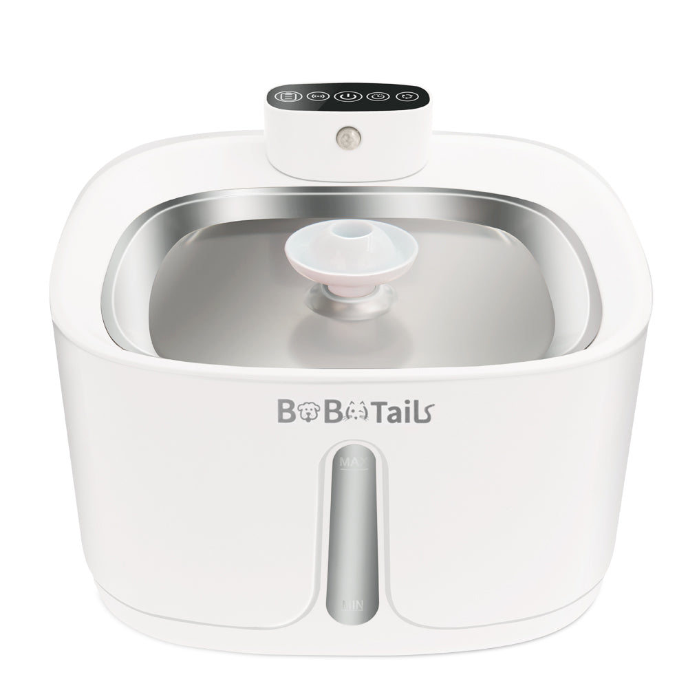 Automatic cat water fountain with filtered water flow