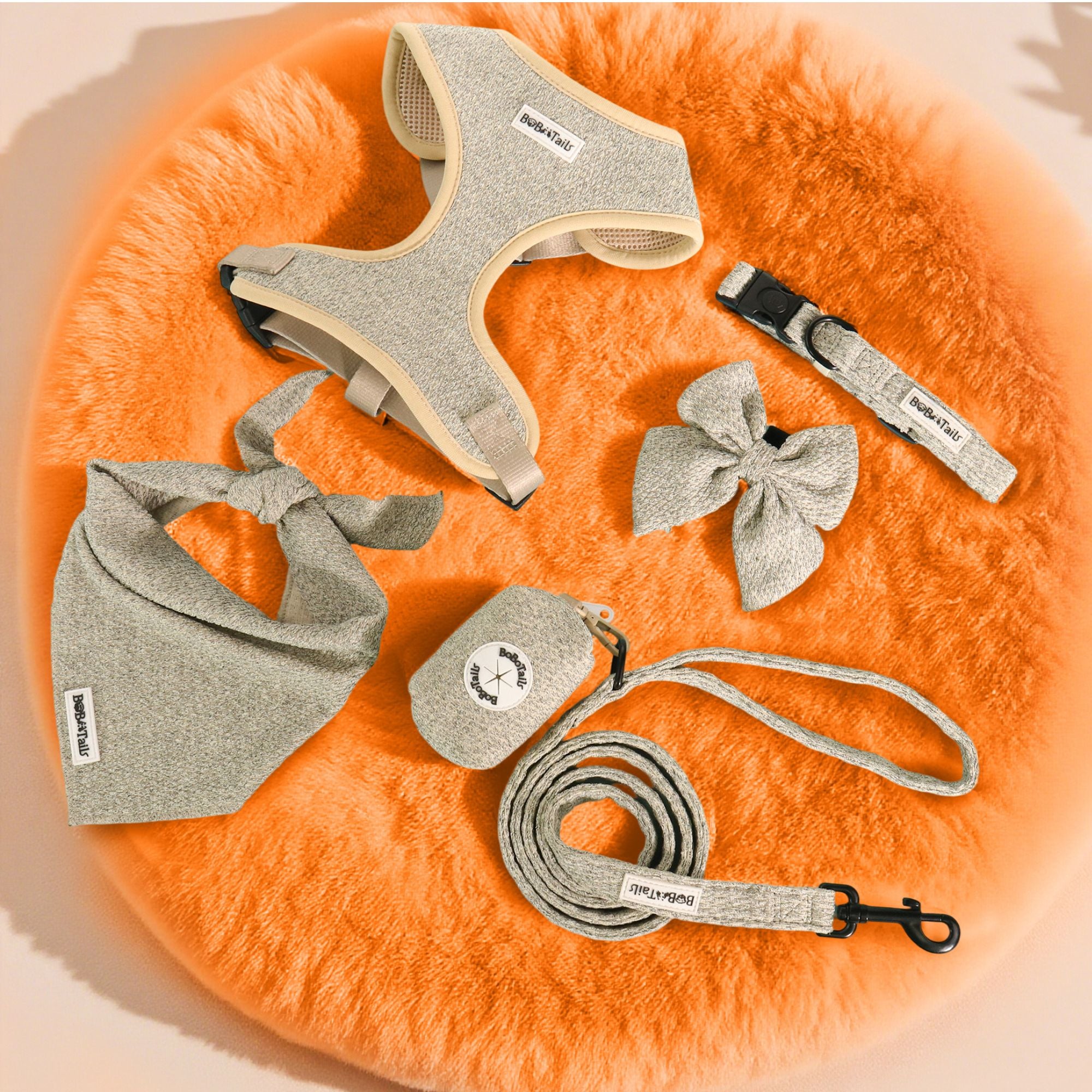 Pet accessories including a harness, collar, leash, and bandana on an orange fur surface.