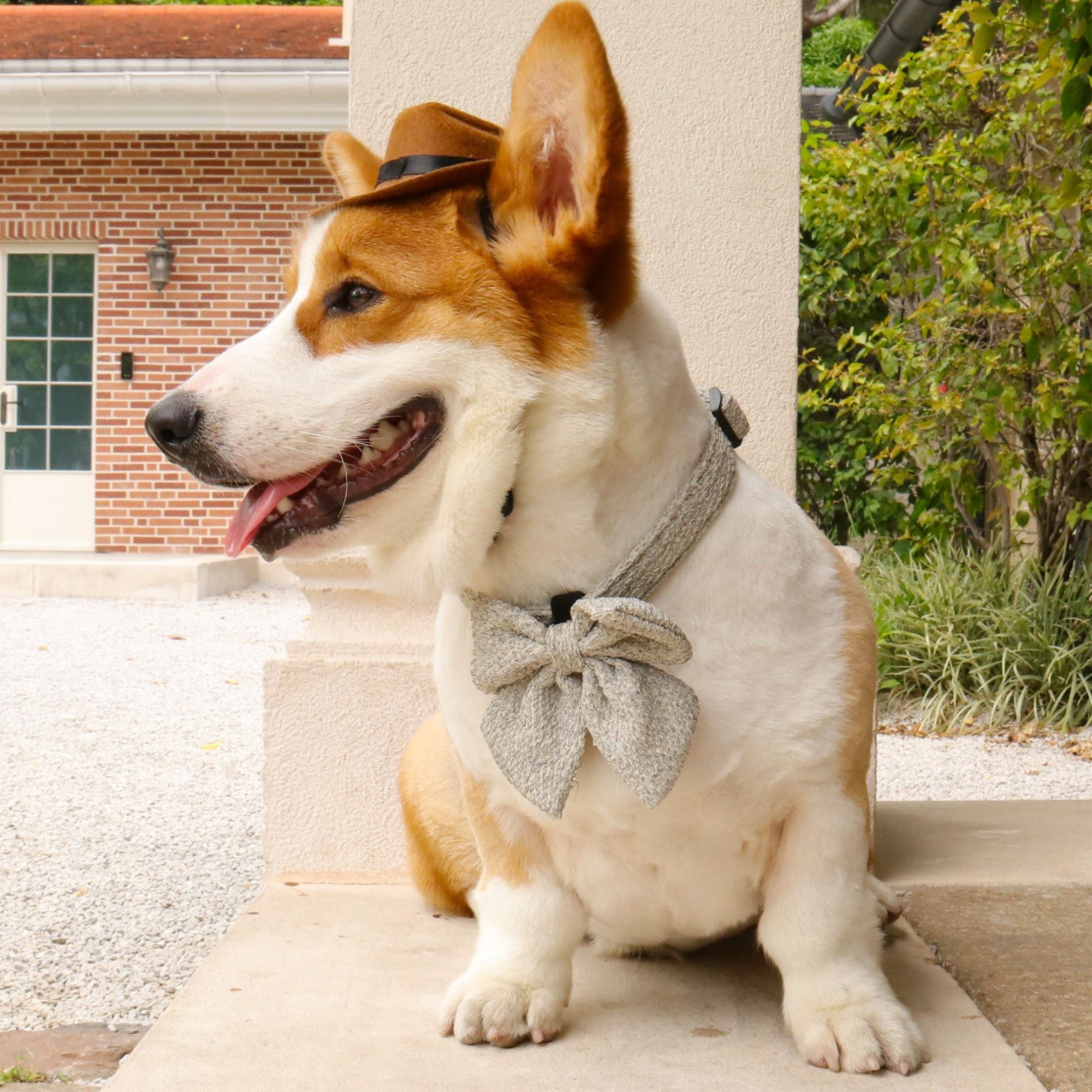chunky knitted dog bow ties for small dog