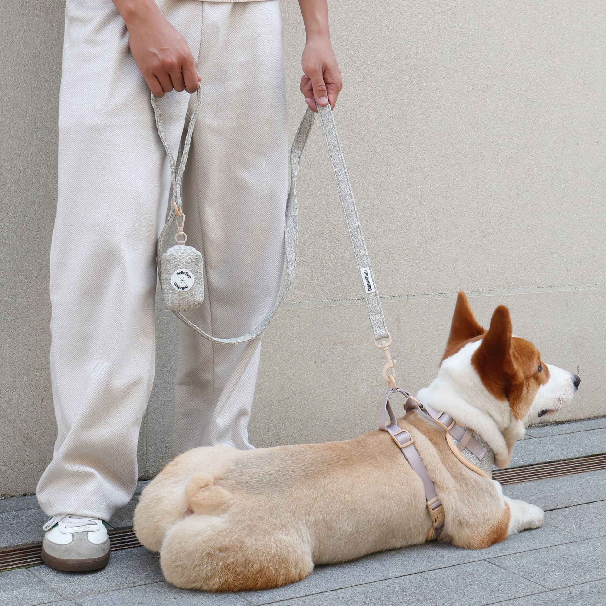 chunky knitted dog harness and leash for medium size dog