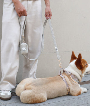chunky knitted dog harness leash set 
