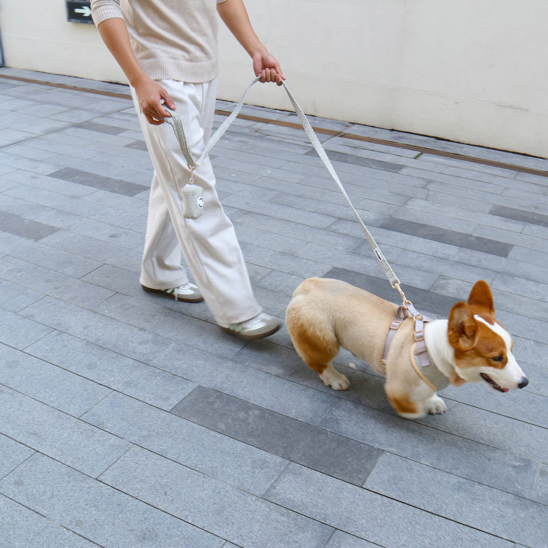 chunky knitted dog harness and poop bag holder for leash