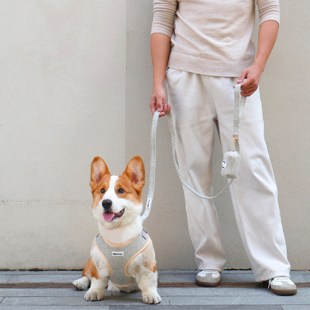 chunky knitted dog harness leash set with dog poop bag holder