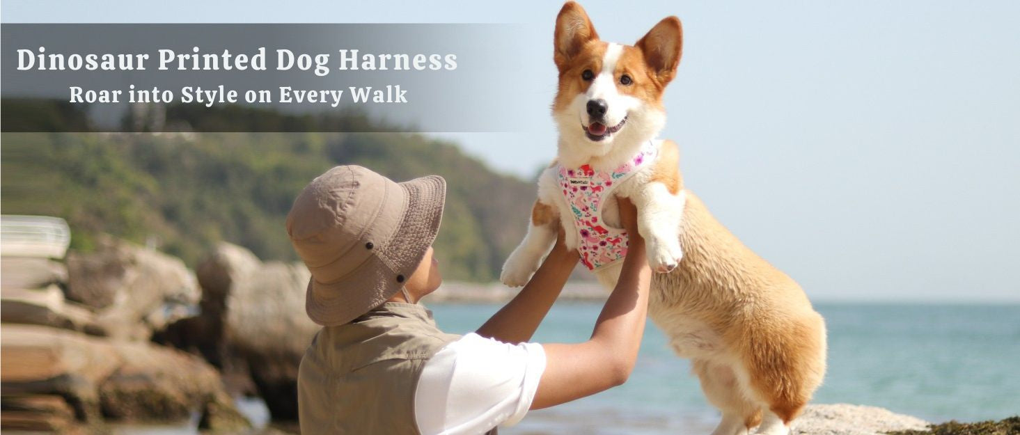 dinosaur printed anti pull harnesses for dogs  designed as part of a matching dog and owner accessory system for everyday walks