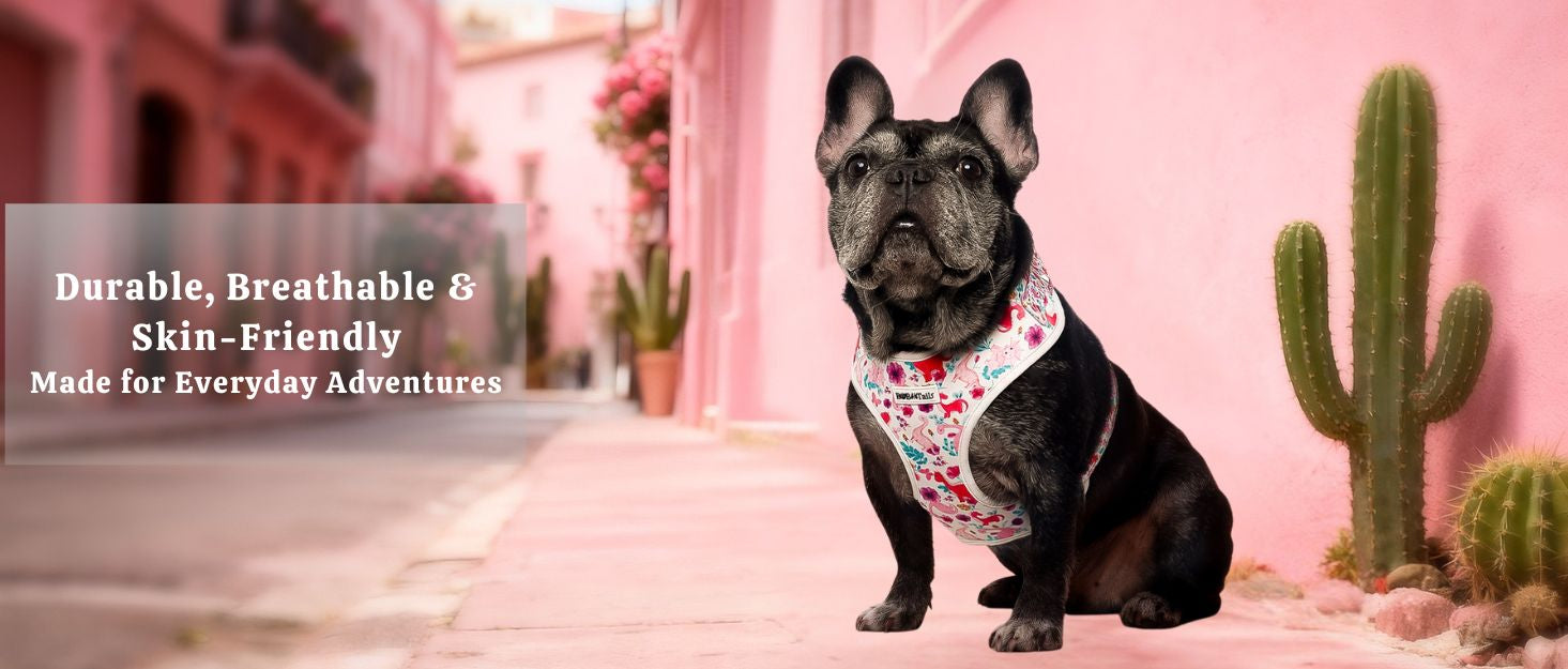 dinosaur printed best no-pull dog harness  matching dog and owner accessories designed as one coordinated system