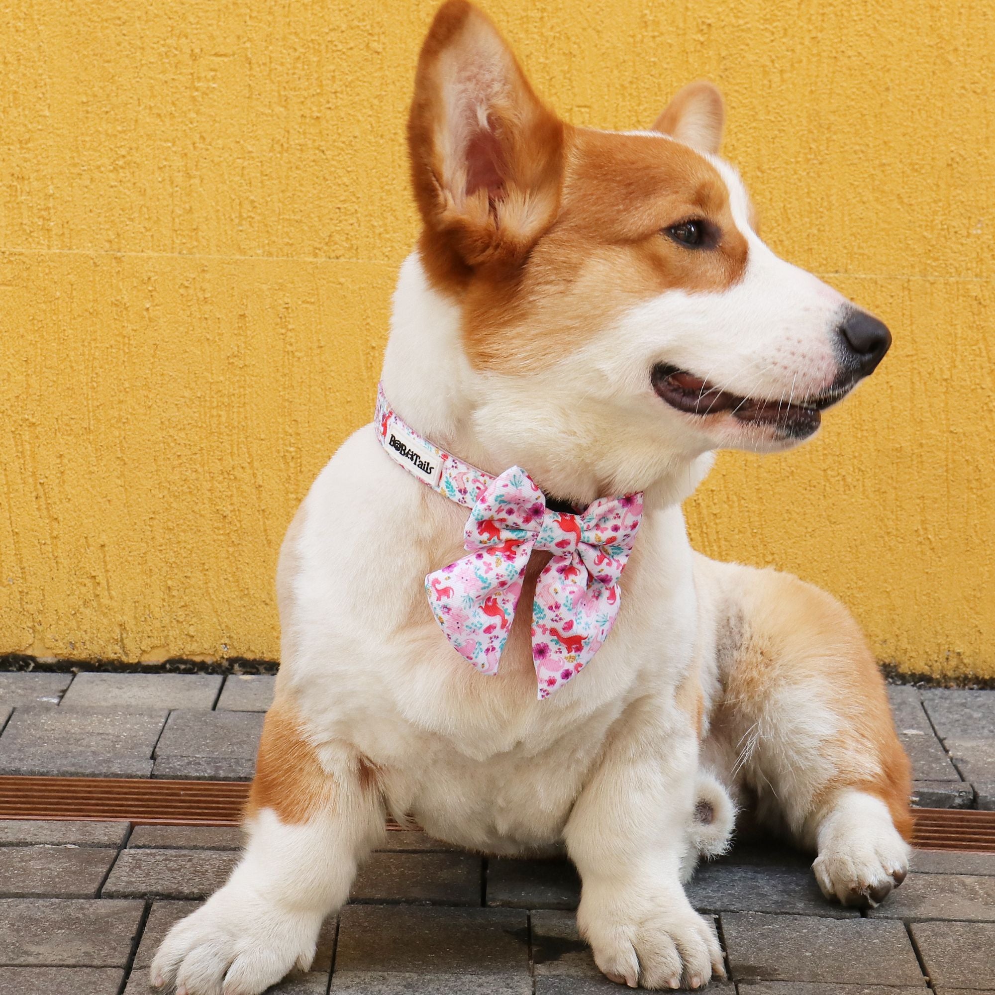 dinosaur printed dog bow tie collar  designed to match the harness and owner accessories in a coordinated system