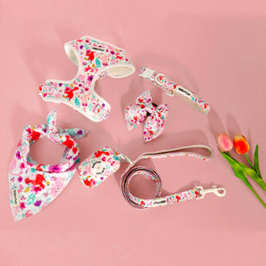 Dog accessories set with dinosaur printed on a pink background