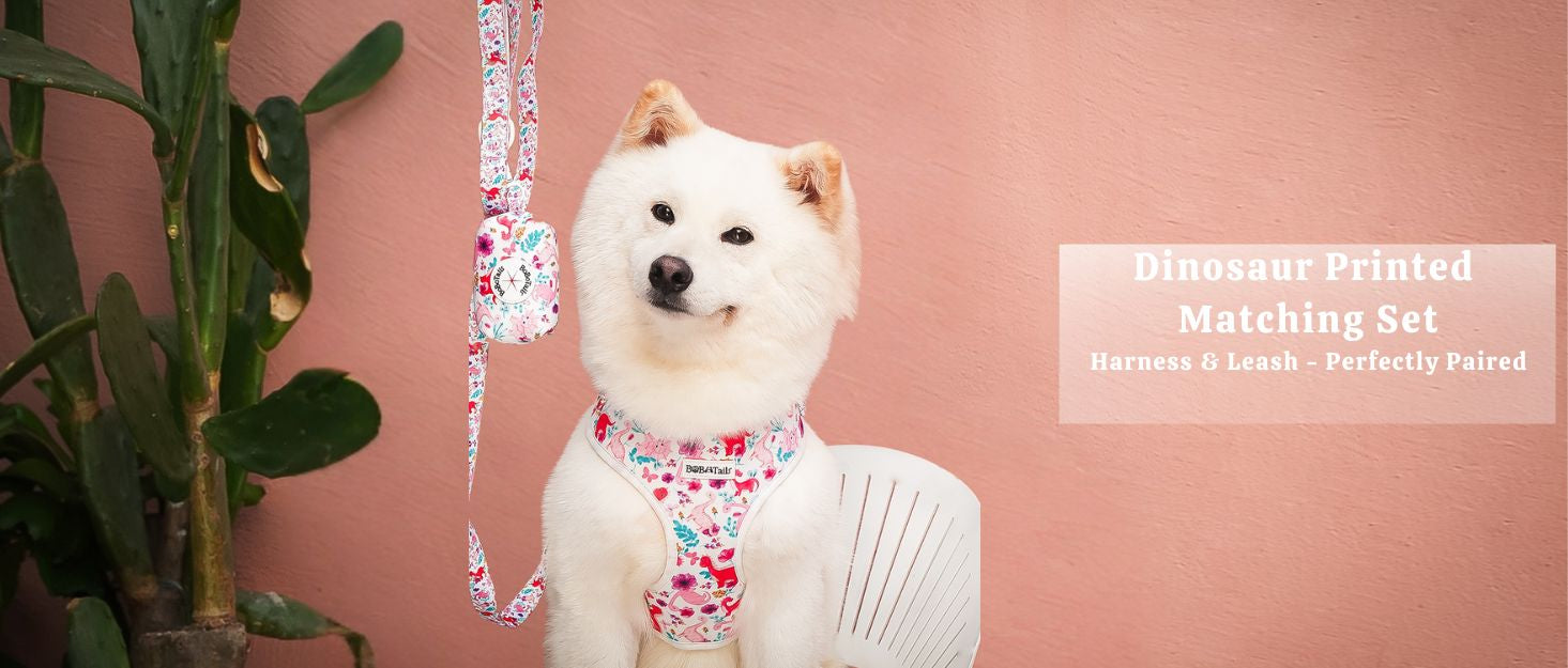 dinosaur printed dog leash harness set as part of a complete dog and owner matching accessory set
