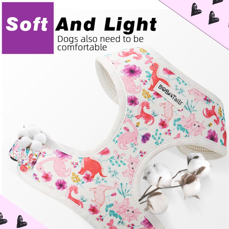 dinosaur printed lightweight dog harness  matching dog and owner accessories designed as one coordinated system