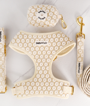Ensemble harnais, laisse, collier et porte-sacs à crottes Floral Brilliance