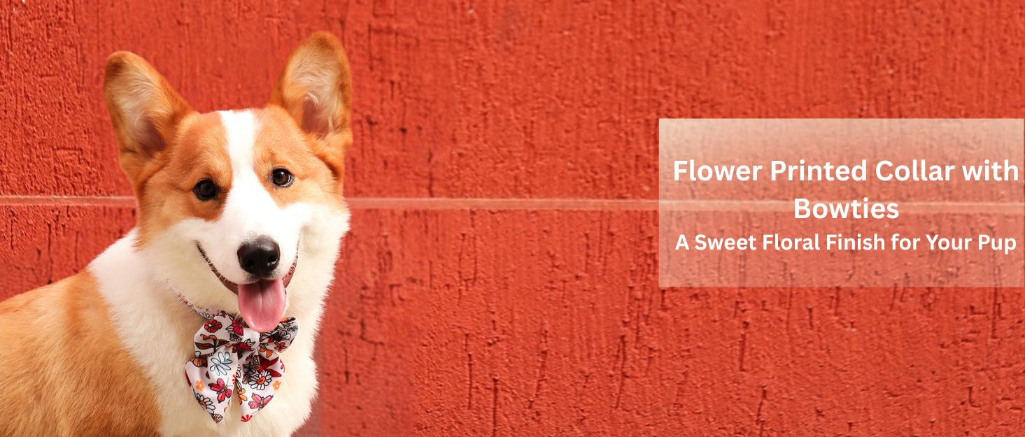 flower prinited collar with bowties for small and medium dog designed to match the harness and owner accessories in a coordinated system
