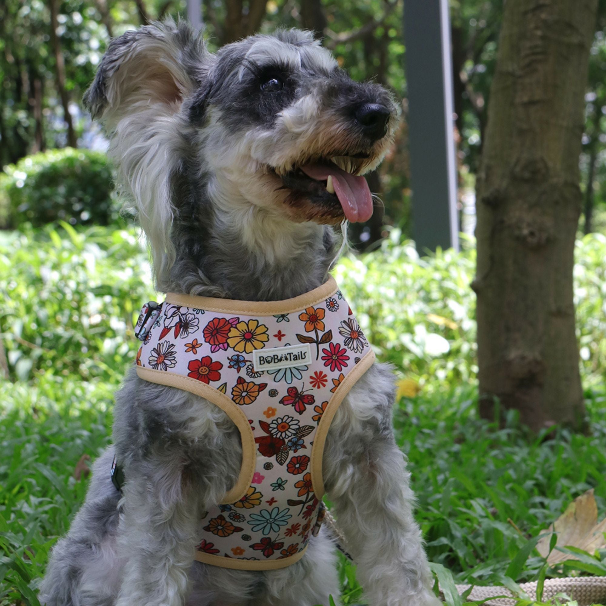 flower printed anti pull harnesses for dogs  designed to match the harness and owner accessories in a coordinated system