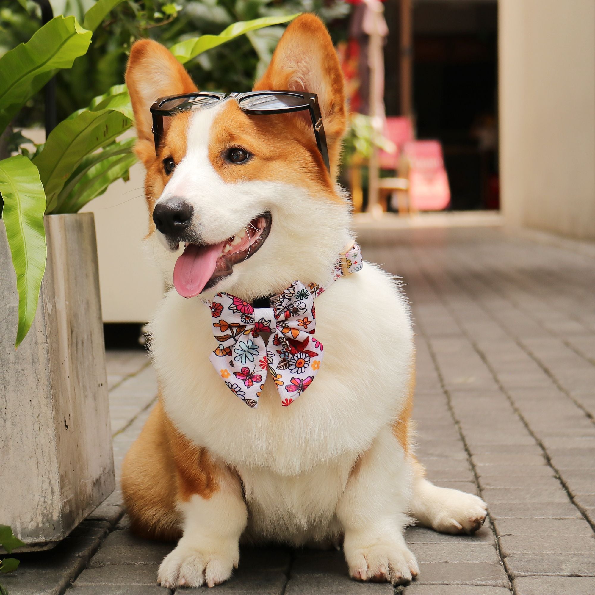 flower printed dog bow ties collar   designed to match the harness and owner accessories for modern pet parents