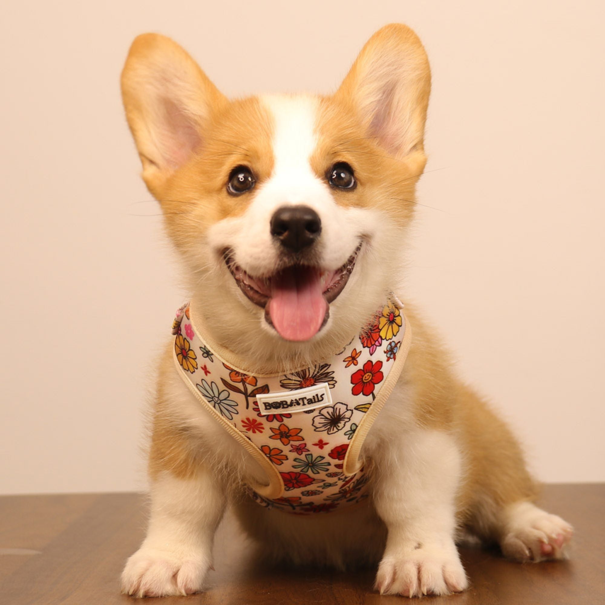 flower printed extra small dog harness designed as part of a matching dog and owner accessory system for everyday walks 