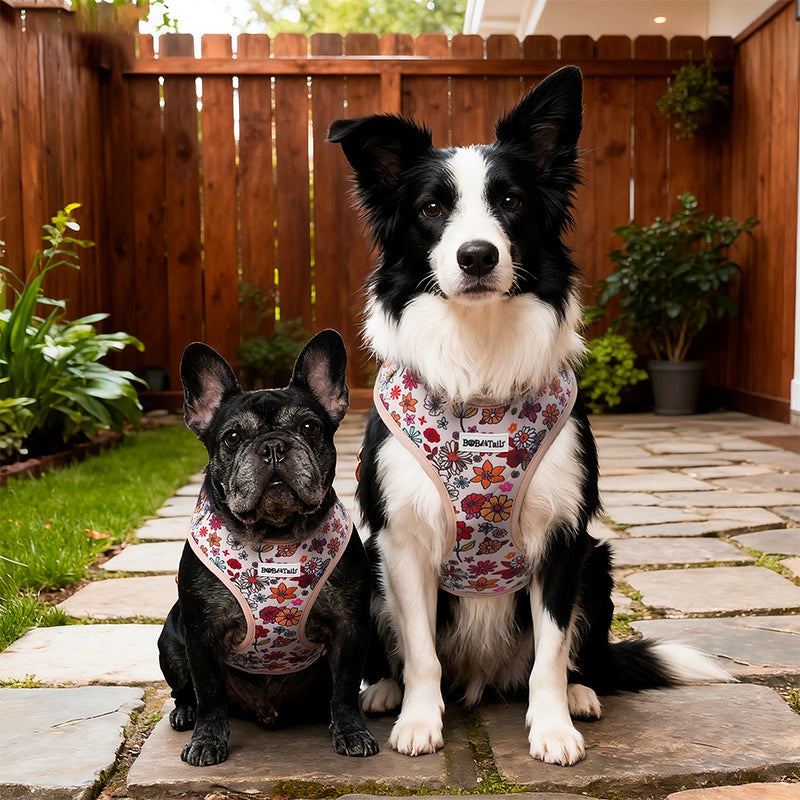 flower printed luxury dog harness designed as part of a matching dog and owner accessory system for everyday walks