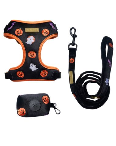 Halloween-themed dog harness, leash, and remote control set on a white background