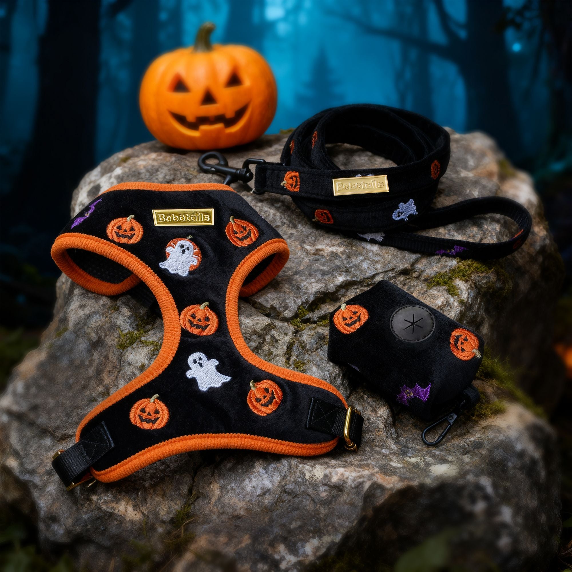 Halloween-themed dog harness, leash, and tag set on a rock with a pumpkin in the background.