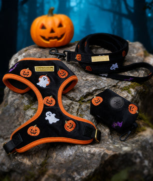 Halloween-themed dog harness, leash, and tag set on a rock with a pumpkin in the background.