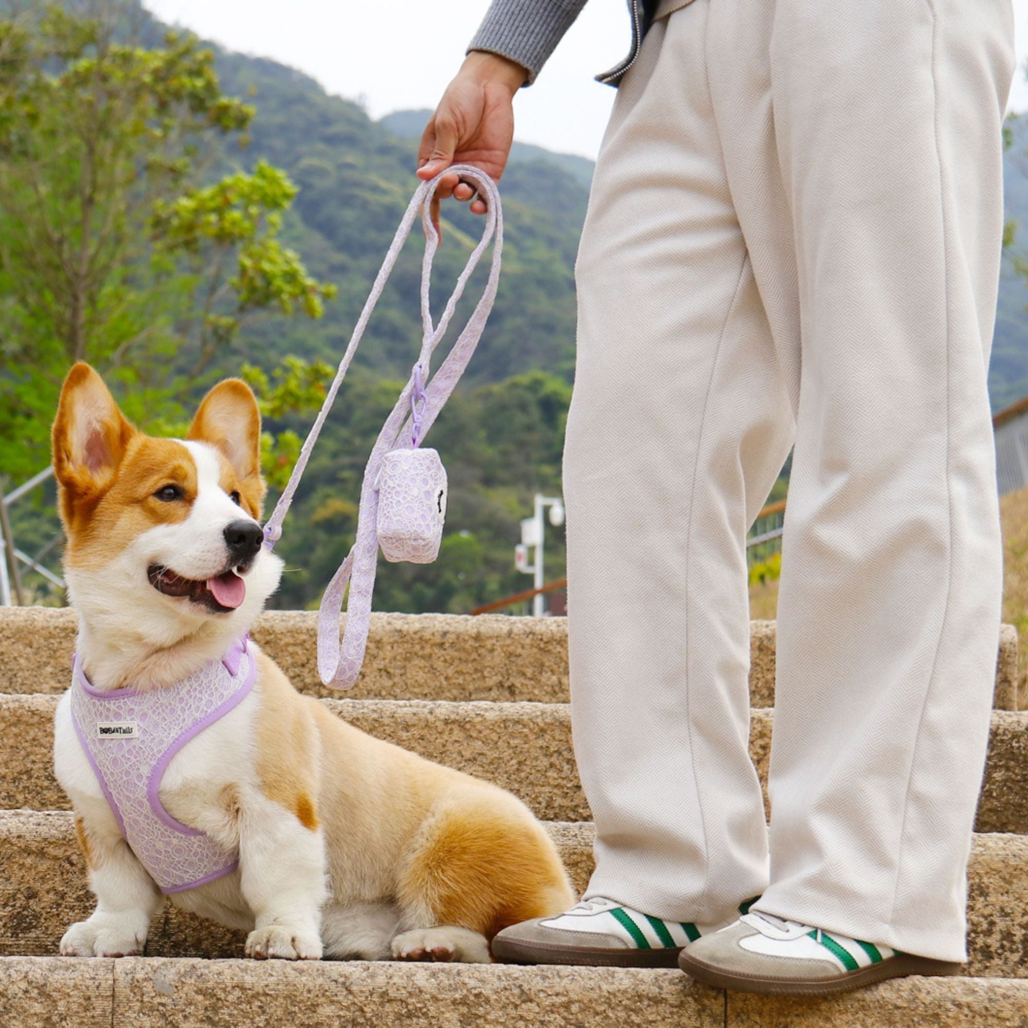  lavender lace dog lead and harness sets matching dog and owner accessories designed as one coordinated system